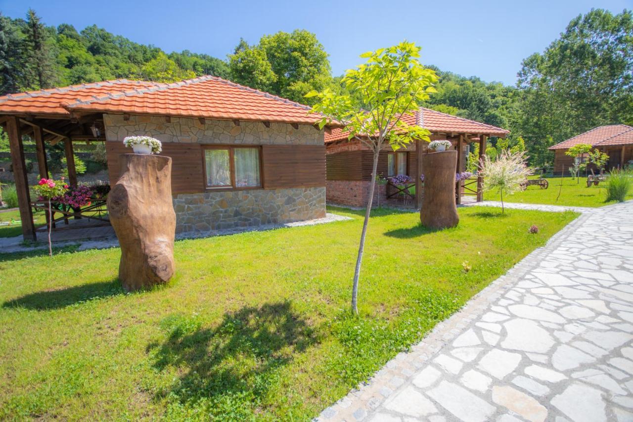 Etno Selo Svodje Apartment Vlasotince Екстериор снимка